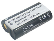 RICOH Caplio R1S Digital Camera Battery